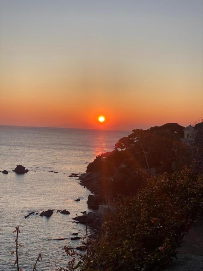 Bogliasco Wine Loft 아파트 외부 사진